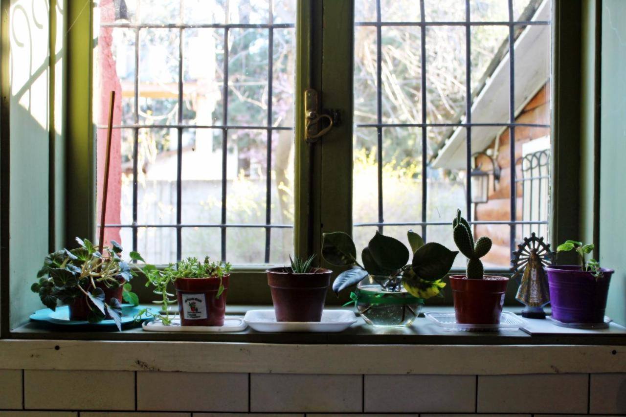 Alhue Patagonia Hostel San Martín de los Andes Dış mekan fotoğraf